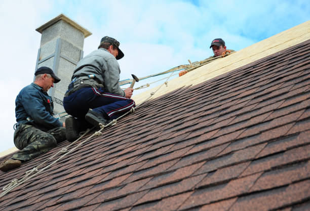 Best Roof Repair Services  in Rushville, IN