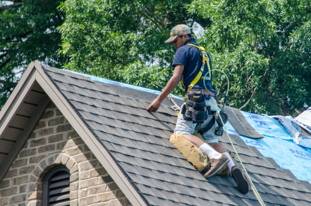 Best Best Roofing Contractors  in Rushville, IN